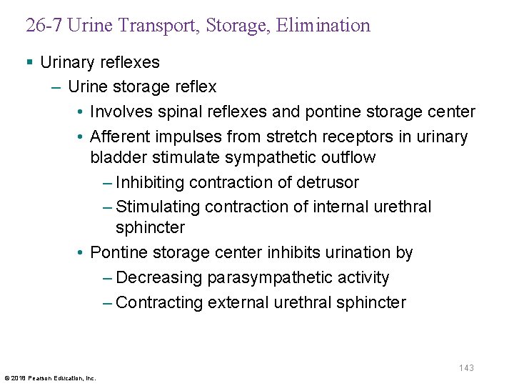 26 -7 Urine Transport, Storage, Elimination § Urinary reflexes – Urine storage reflex •