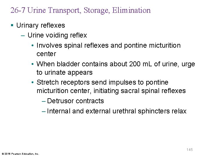 26 -7 Urine Transport, Storage, Elimination § Urinary reflexes – Urine voiding reflex •