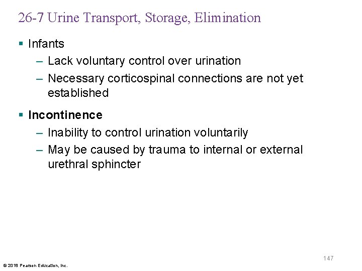 26 -7 Urine Transport, Storage, Elimination § Infants – Lack voluntary control over urination