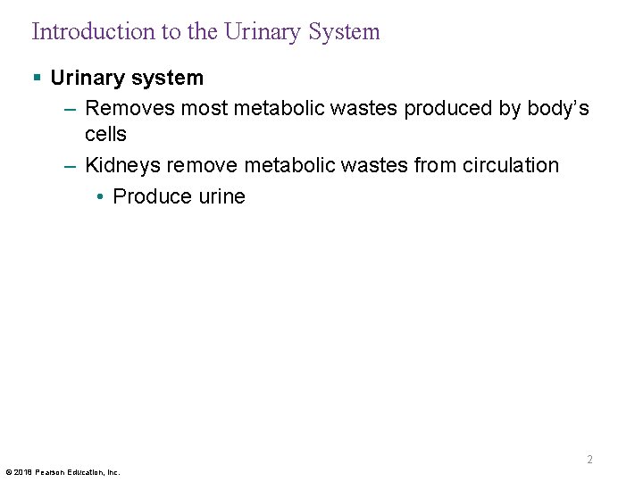 Introduction to the Urinary System § Urinary system – Removes most metabolic wastes produced