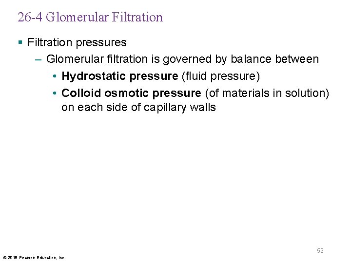 26 -4 Glomerular Filtration § Filtration pressures – Glomerular filtration is governed by balance