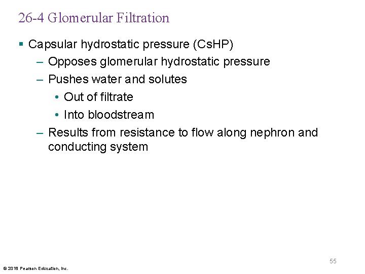 26 -4 Glomerular Filtration § Capsular hydrostatic pressure (Cs. HP) – Opposes glomerular hydrostatic