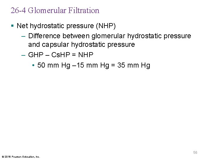26 -4 Glomerular Filtration § Net hydrostatic pressure (NHP) – Difference between glomerular hydrostatic