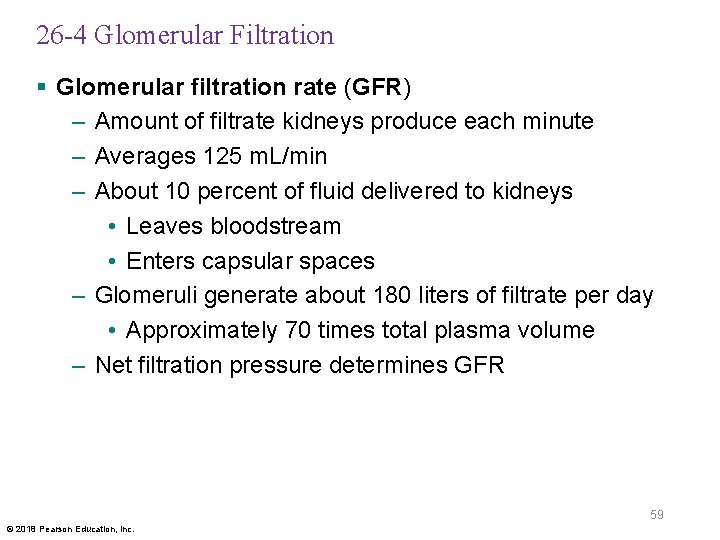 26 -4 Glomerular Filtration § Glomerular filtration rate (GFR) – Amount of filtrate kidneys