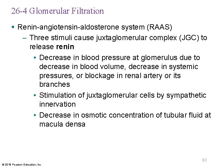 26 -4 Glomerular Filtration § Renin-angiotensin-aldosterone system (RAAS) – Three stimuli cause juxtaglomerular complex