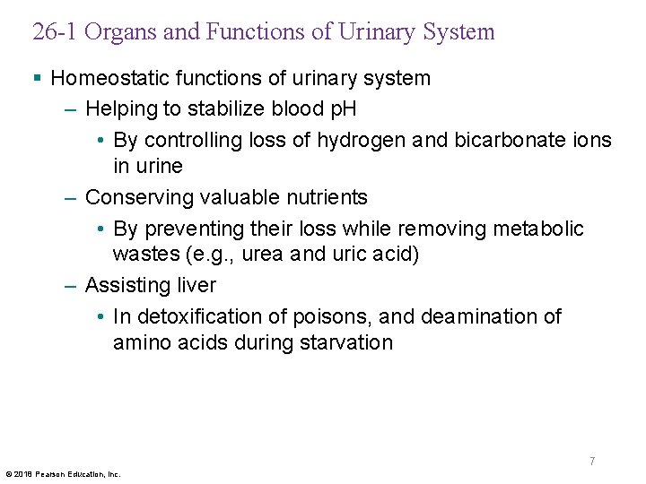 26 -1 Organs and Functions of Urinary System § Homeostatic functions of urinary system