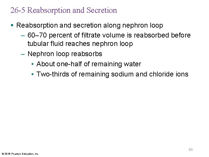 26 -5 Reabsorption and Secretion § Reabsorption and secretion along nephron loop – 60–