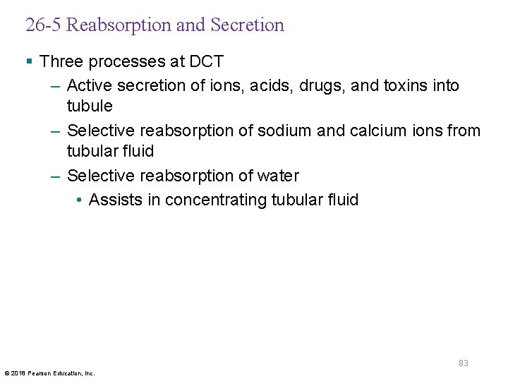 26 -5 Reabsorption and Secretion § Three processes at DCT – Active secretion of