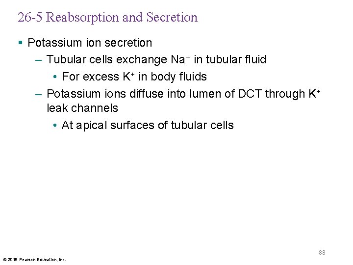 26 -5 Reabsorption and Secretion § Potassium ion secretion – Tubular cells exchange Na+