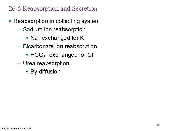 26 -5 Reabsorption and Secretion § Reabsorption in collecting system – Sodium ion reabsorption