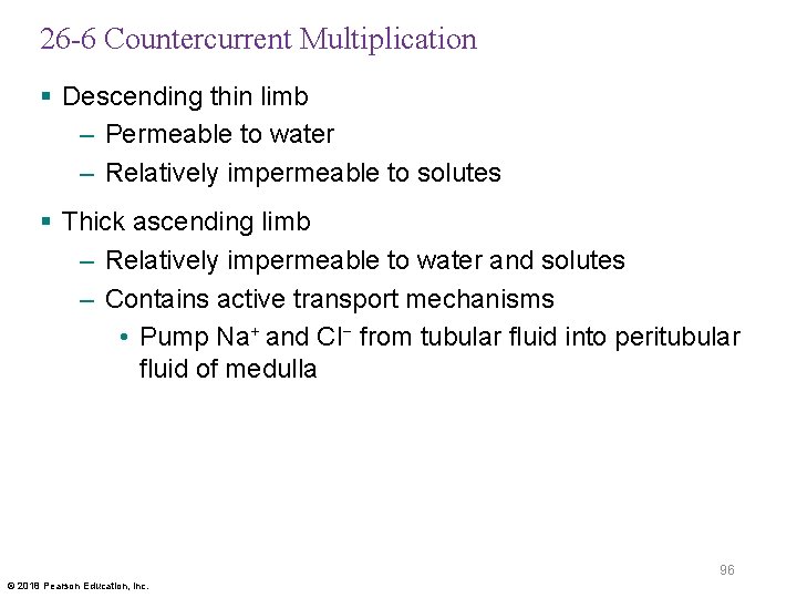 26 -6 Countercurrent Multiplication § Descending thin limb – Permeable to water – Relatively