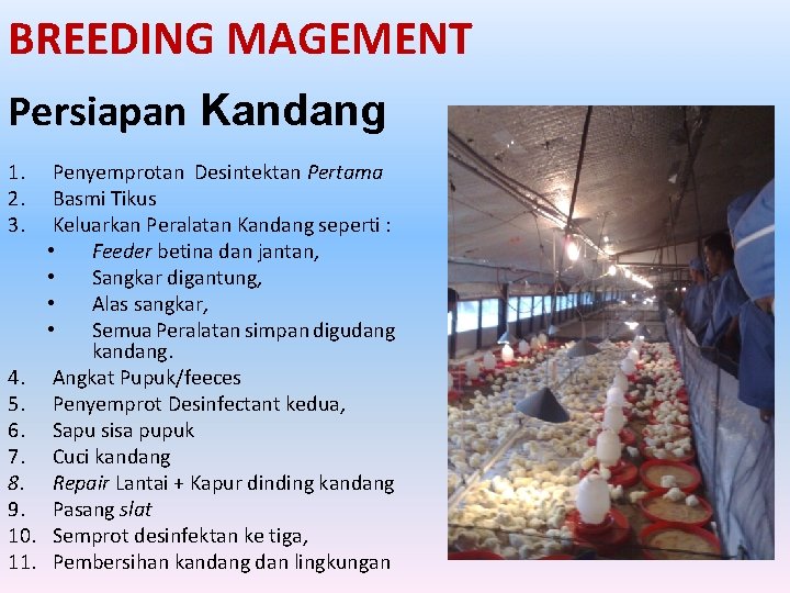 MANAJEMEN BREEDING LABORATORIUM PRODUKSI TERNAK UNGGAS FAKULTAS PETERNAKAN