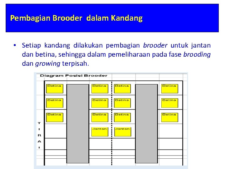 MANAJEMEN BREEDING LABORATORIUM PRODUKSI TERNAK UNGGAS FAKULTAS PETERNAKAN