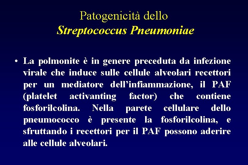 Patogenicità dello Streptococcus Pneumoniae • La polmonite è in genere preceduta da infezione virale