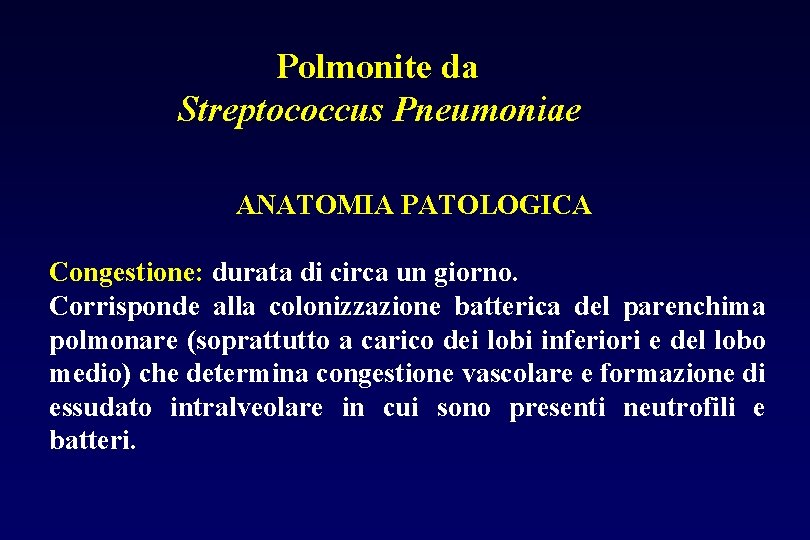 Polmonite da Streptococcus Pneumoniae ANATOMIA PATOLOGICA Congestione: durata di circa un giorno. Corrisponde alla