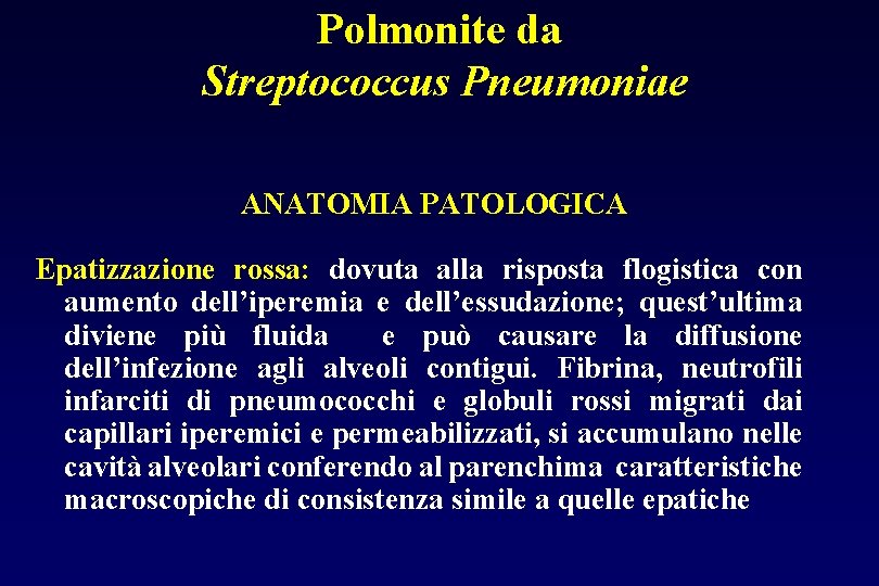 Polmonite da Streptococcus Pneumoniae ANATOMIA PATOLOGICA Epatizzazione rossa: dovuta alla risposta flogistica con aumento