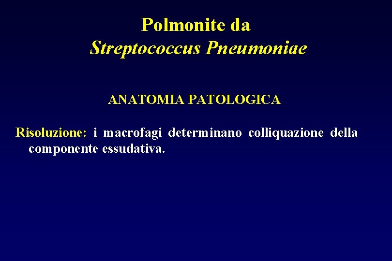 Polmonite da Streptococcus Pneumoniae ANATOMIA PATOLOGICA Risoluzione: i macrofagi determinano colliquazione della componente essudativa.