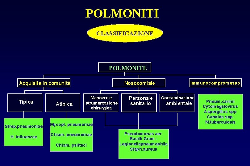 POLMONITI CLASSIFICAZIONE POLMONITE Acquisita in comunità Tipica Atipica Immunocompromesso Nosocomiale Manovre e strumentazione chirurgica