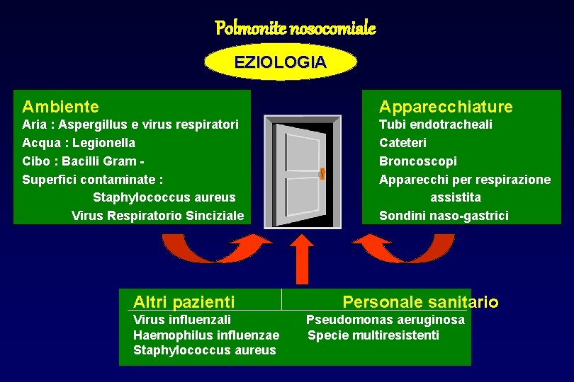 Polmonite nosocomiale EZIOLOGIA Ambiente Apparecchiature Aria : Aspergillus e virus respiratori Acqua : Legionella