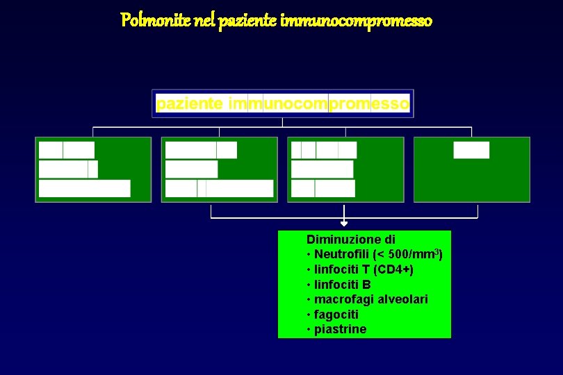 Polmonite nel paziente immunocompromesso Diminuzione di • Neutrofili (< 500/mm 3) • linfociti T