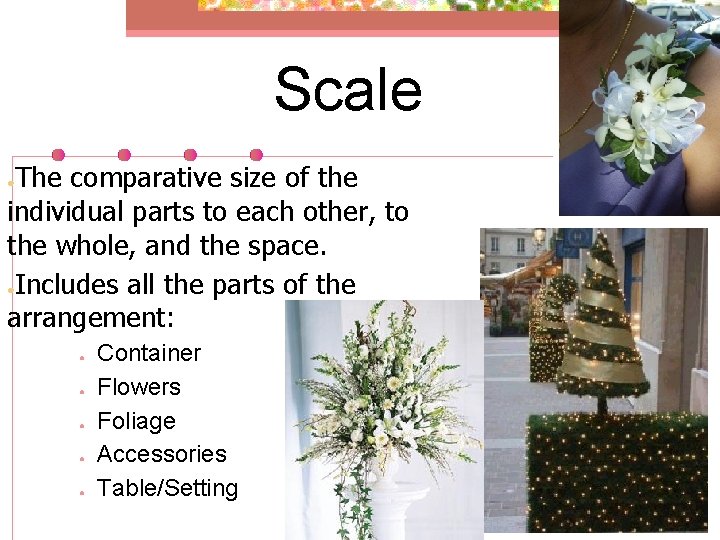 Scale The comparative size of the individual parts to each other, to the whole,