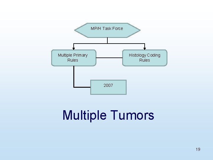 MP/H Task Force Multiple Primary Rules Histology Coding Rules 2007 Multiple Tumors 19 