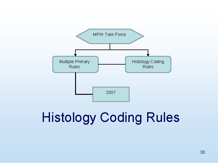 MP/H Task Force Multiple Primary Rules Histology Coding Rules 2007 Histology Coding Rules 38
