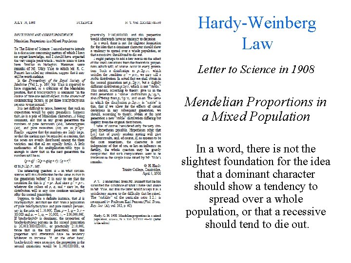 Hardy-Weinberg Law Letter to Science in 1908 Mendelian Proportions in a Mixed Population In Hardy-Weinberg Law Letter to Science in 1908 Mendelian Proportions in a Mixed Population In