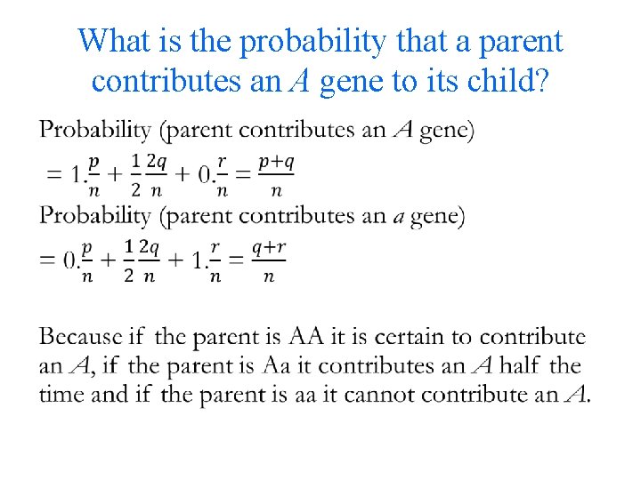 What is the probability that a parent contributes an A gene to its child?