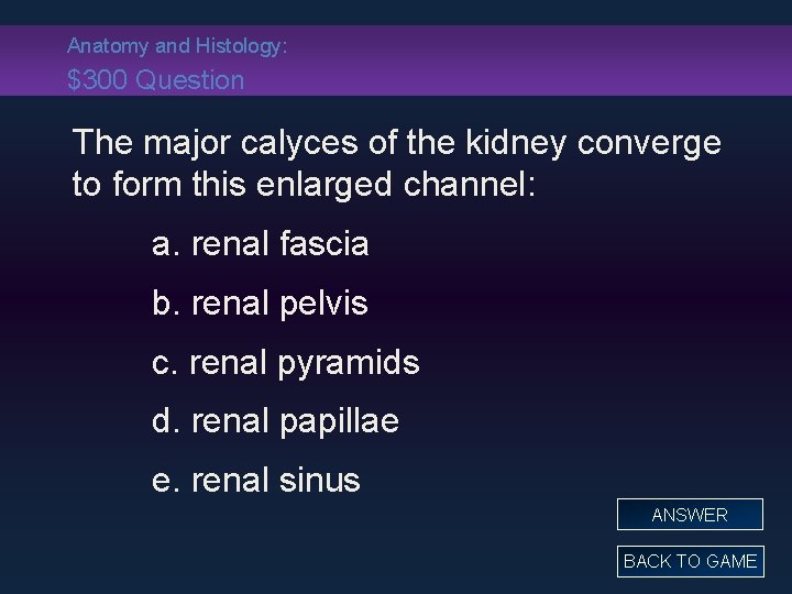 Anatomy and Histology: $300 Question The major calyces of the kidney converge to form