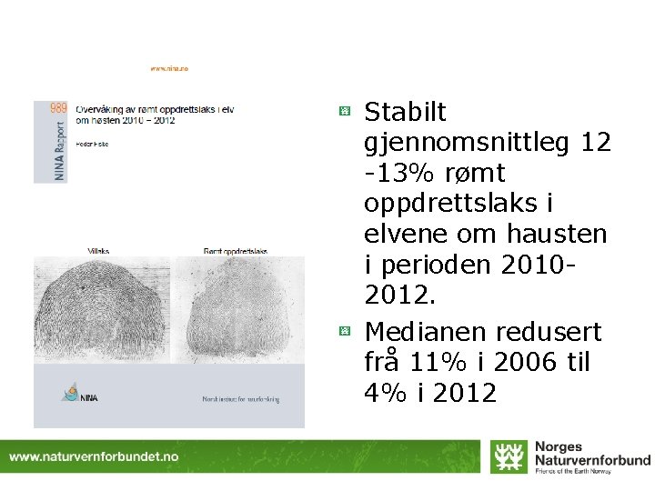 Stabilt gjennomsnittleg 12 -13% rømt oppdrettslaks i elvene om hausten i perioden 20102012. Medianen