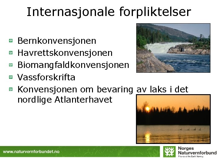 Internasjonale forpliktelser Bernkonvensjonen Havrettskonvensjonen Biomangfaldkonvensjonen Vassforskrifta Konvensjonen om bevaring av laks i det nordlige