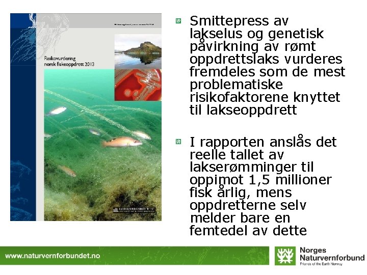 Smittepress av lakselus og genetisk påvirkning av rømt oppdrettslaks vurderes fremdeles som de mest