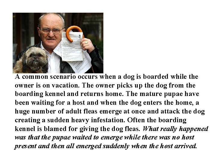 A common scenario occurs when a dog is boarded while the owner is on