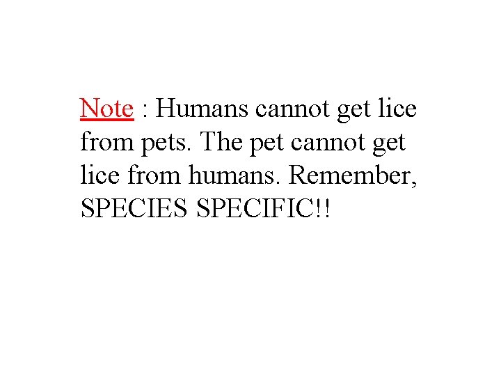 Note : Humans cannot get lice from pets. The pet cannot get lice from