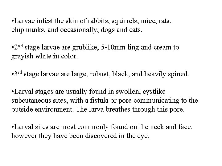  • Larvae infest the skin of rabbits, squirrels, mice, rats, chipmunks, and occasionally,