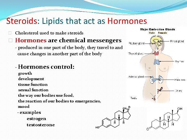Lipids Fats Oils Steroids and Waxes Lipid Basics