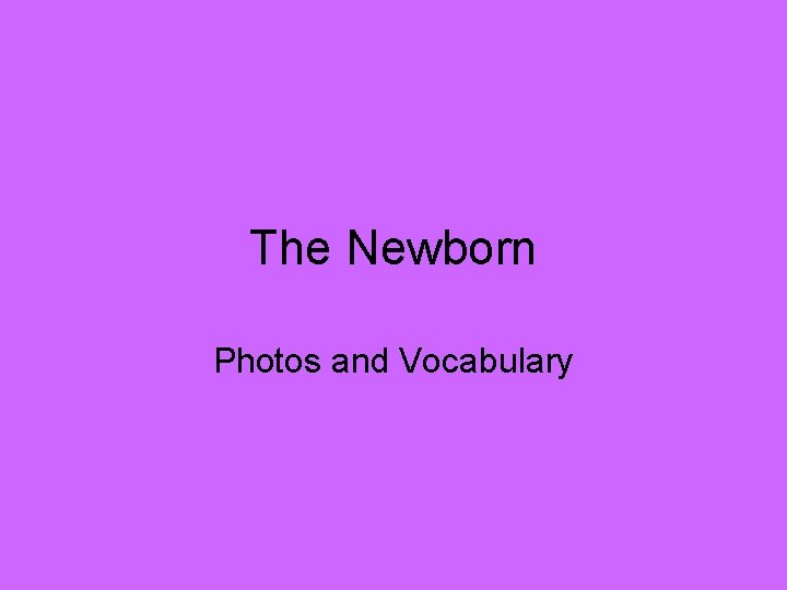 The Newborn Photos and Vocabulary 