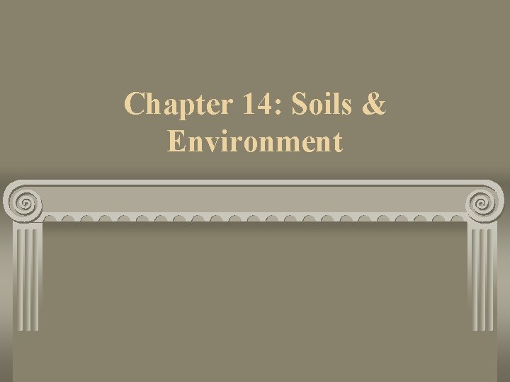 Chapter 14: Soils & Environment 