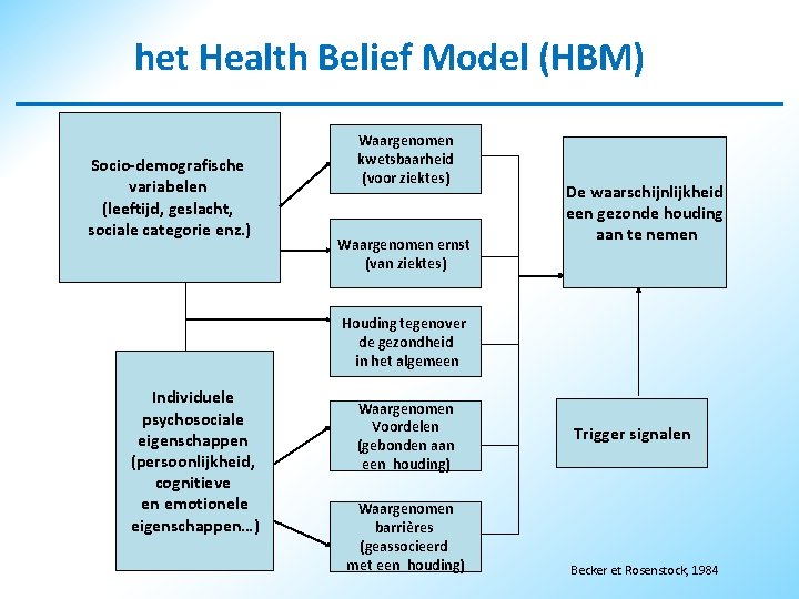 het Health Belief Model (HBM) Socio-demografische variabelen (leeftijd, geslacht, sociale categorie enz. ) Waargenomen