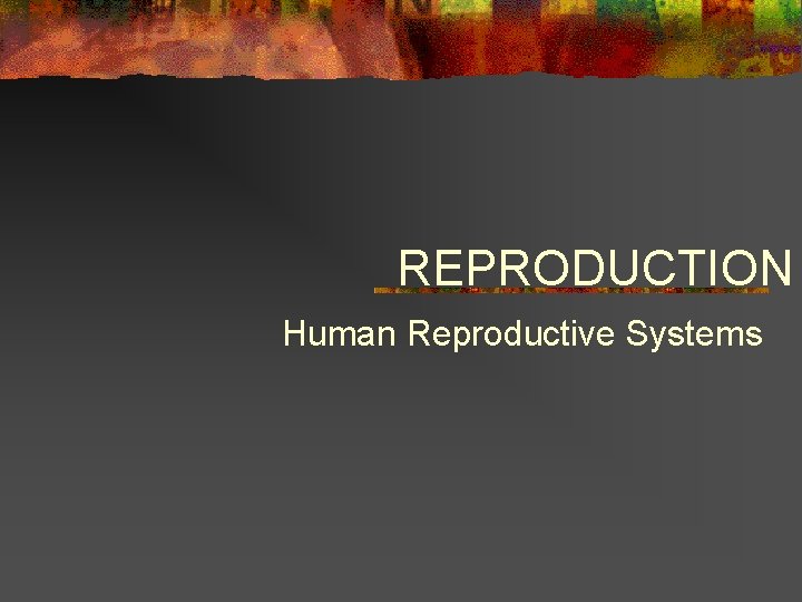 REPRODUCTION Human Reproductive Systems 