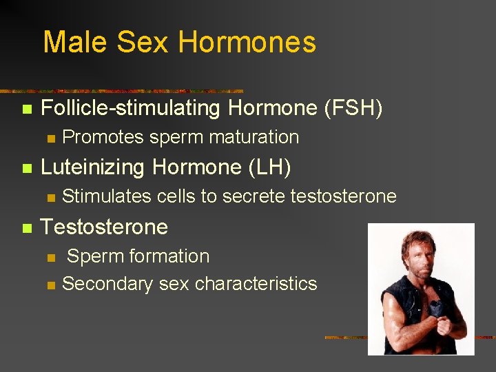 Male Sex Hormones n Follicle-stimulating Hormone (FSH) n n Luteinizing Hormone (LH) n n