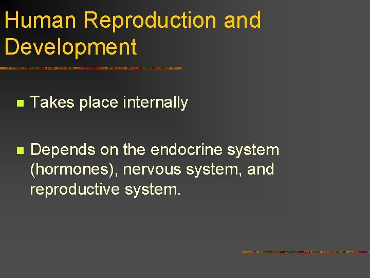 Human Reproduction and Development n Takes place internally n Depends on the endocrine system