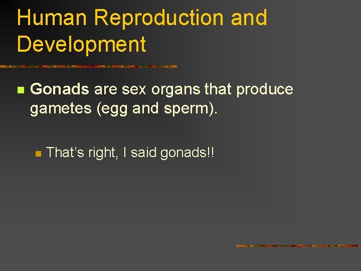 Human Reproduction and Development n Gonads are sex organs that produce gametes (egg and
