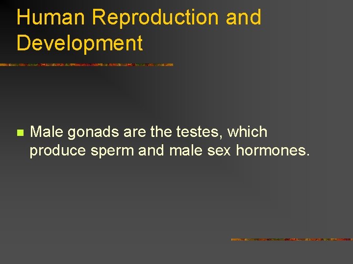 Human Reproduction and Development n Male gonads are the testes, which produce sperm and