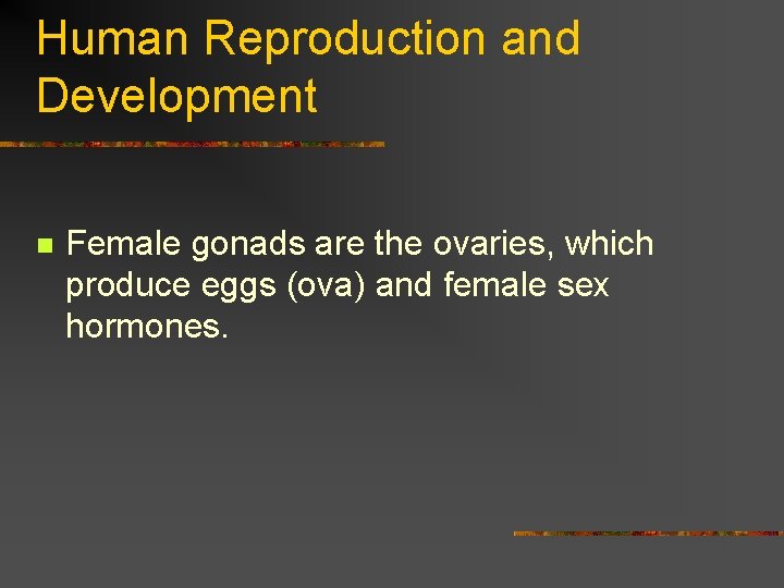 Human Reproduction and Development n Female gonads are the ovaries, which produce eggs (ova)