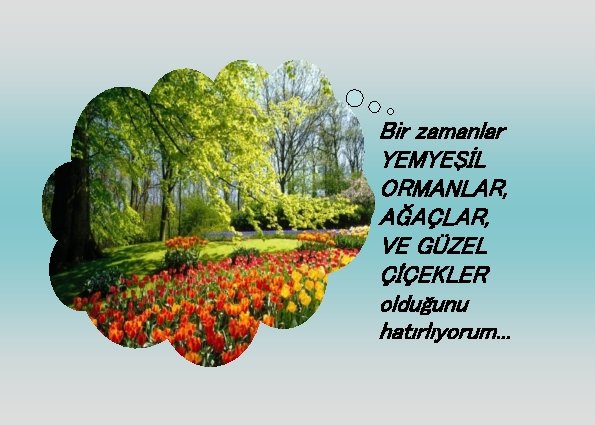 Bir zamanlar YEMYEŞİL ORMANLAR, AĞAÇLAR, VE GÜZEL ÇİÇEKLER olduğunu hatırlıyorum. . . 