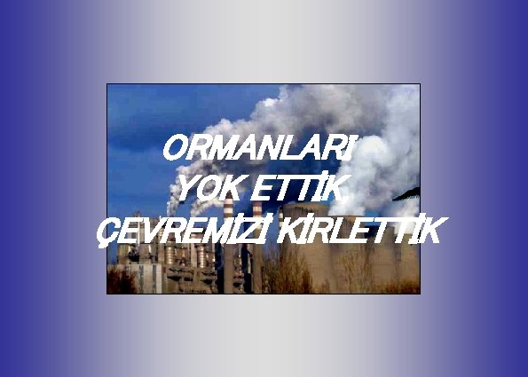 ORMANLARI YOK ETTİK, ÇEVREMİZİ KİRLETTİK 