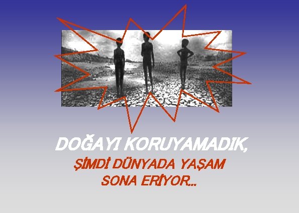 DOĞAYI KORUYAMADIK, ŞİMDİ DÜNYADA YAŞAM SONA ERİYOR. . . 