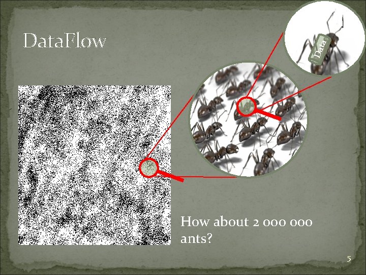 a Data. Flow How about 2 000 ants? 5 
